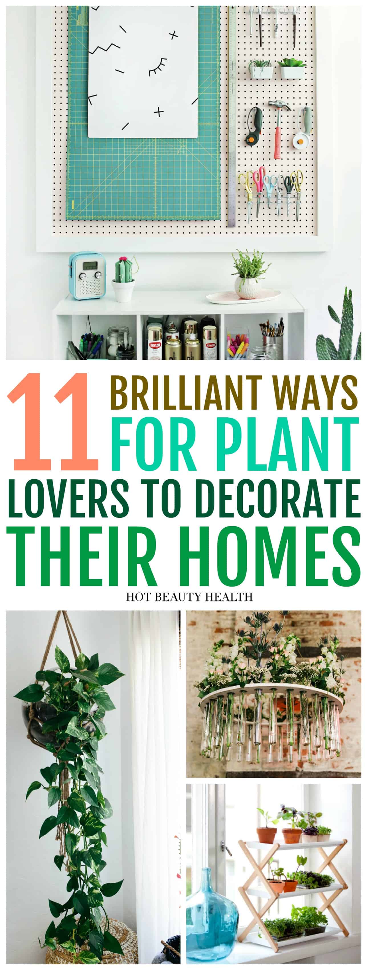 decorate your home with plants