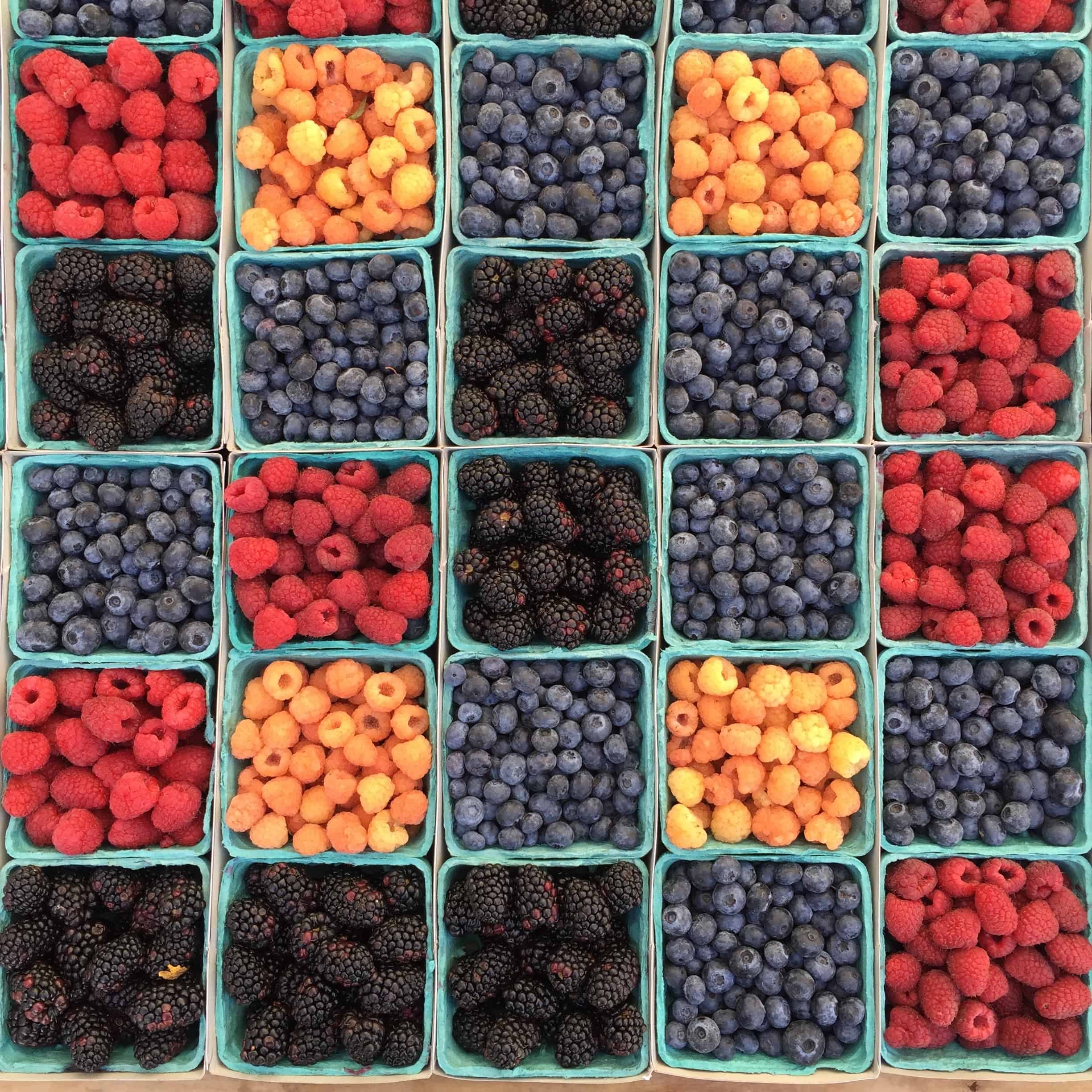 berries antioxidants