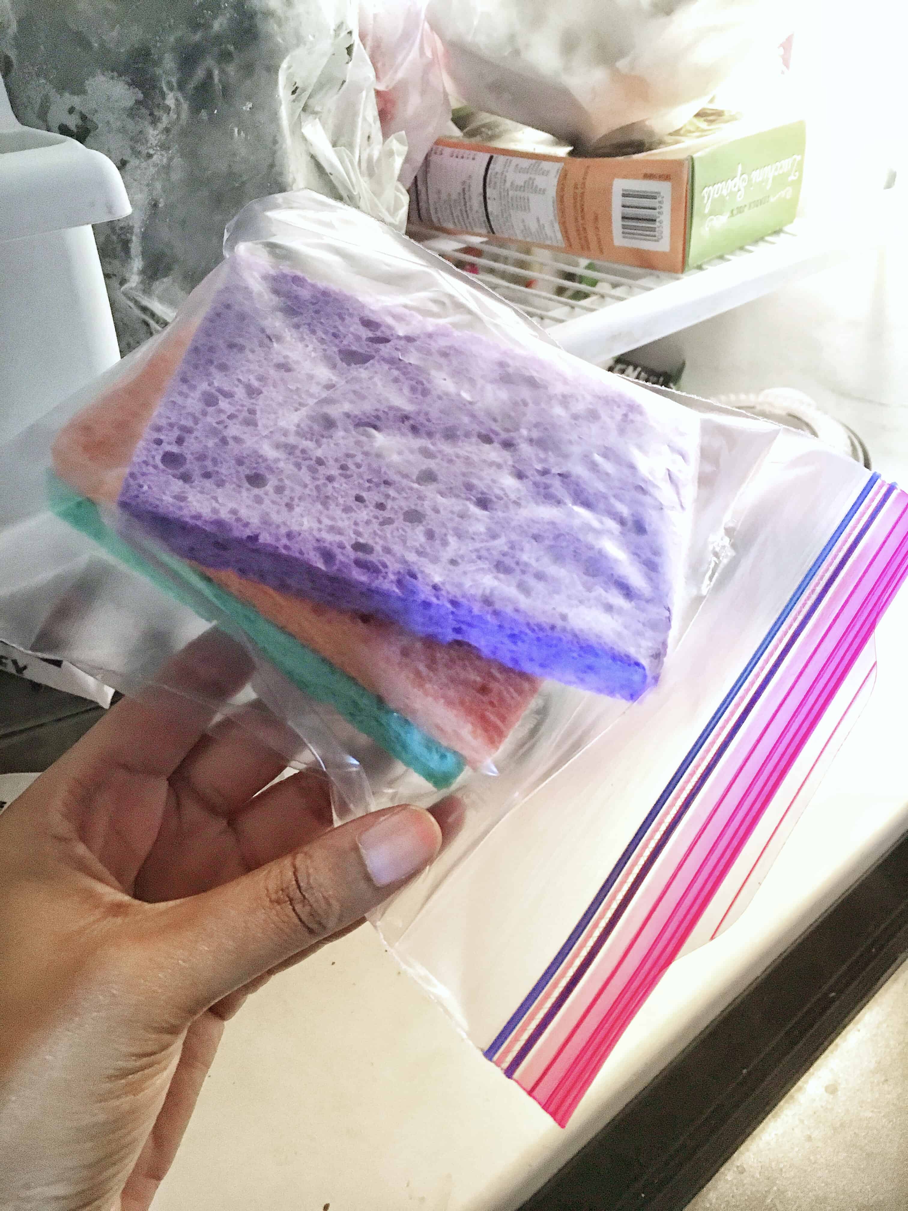 put sponge in freezer