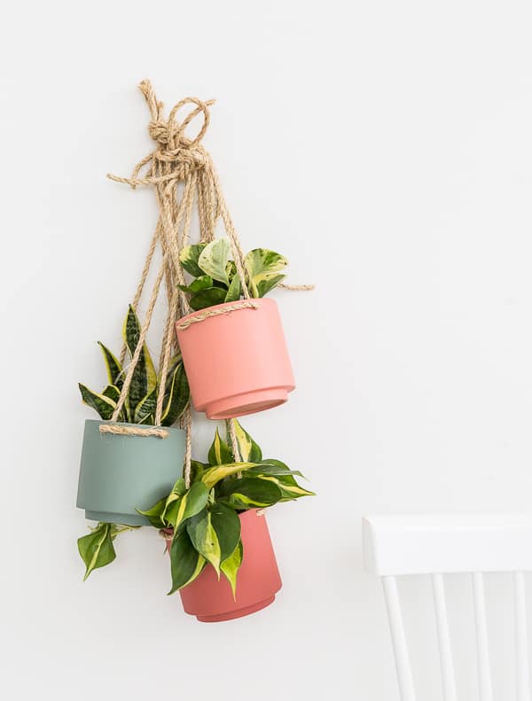 11 Indoor Hanging Plants To Green Up Your Home