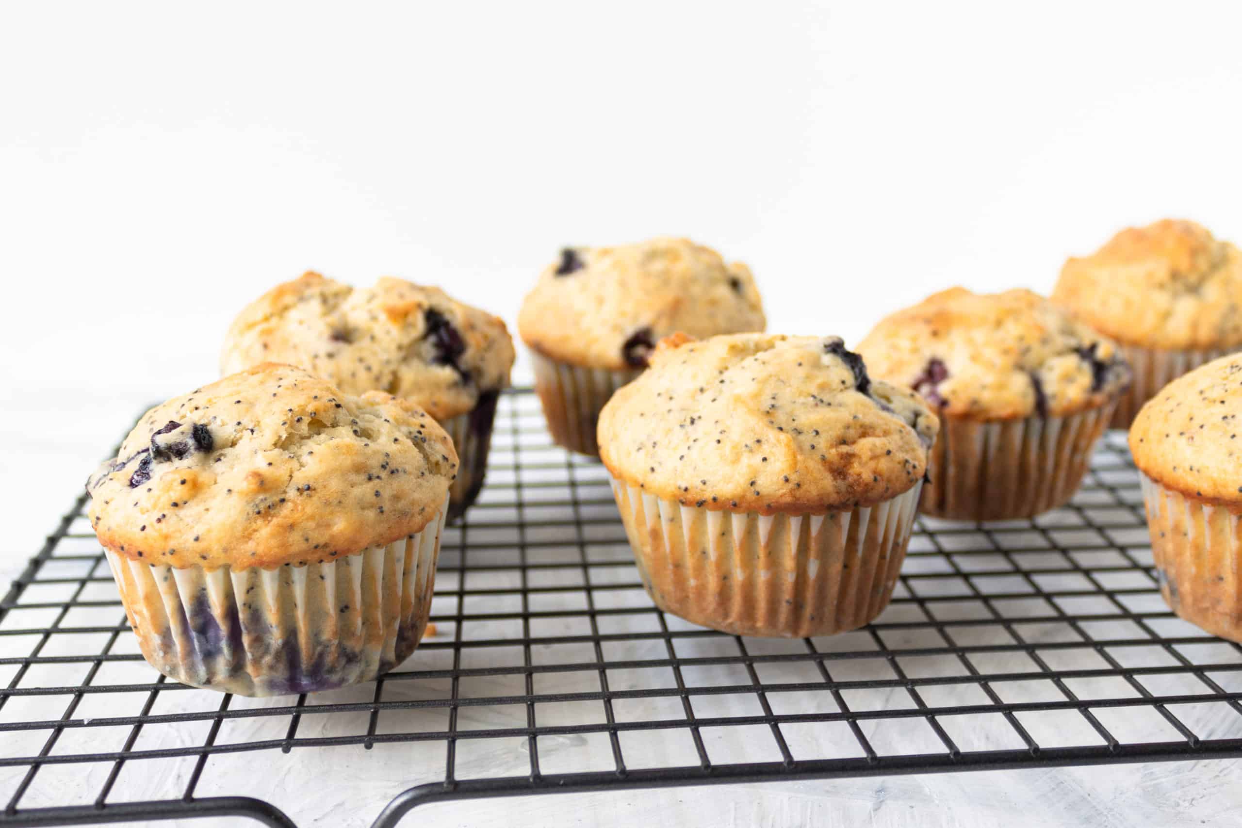 Blueberry Lemon Poppy Seed Muffins on a dry rack