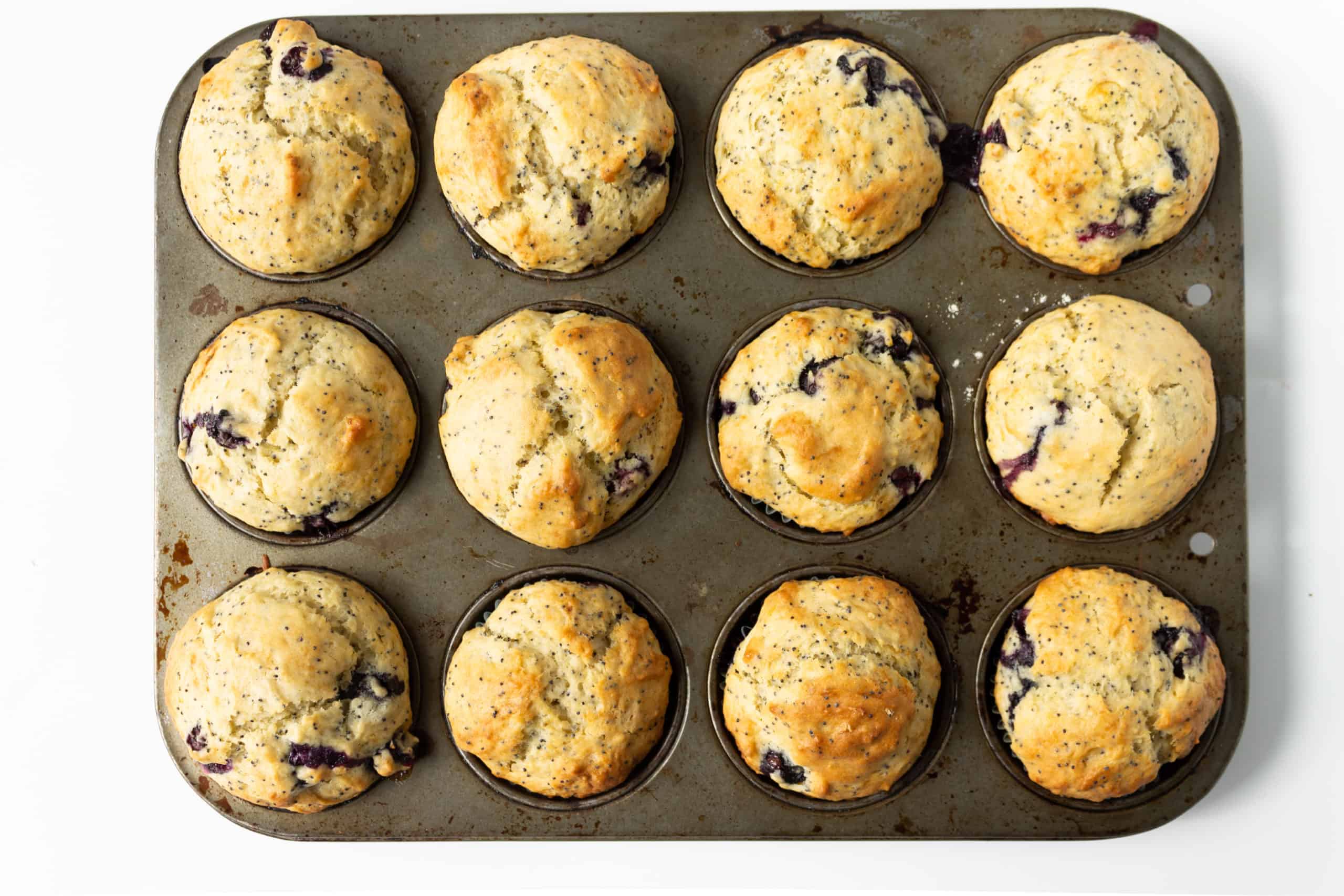 Blueberry Muffins on baking tin