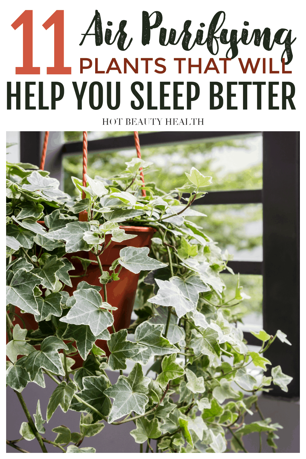 air purifying plants for bedroom