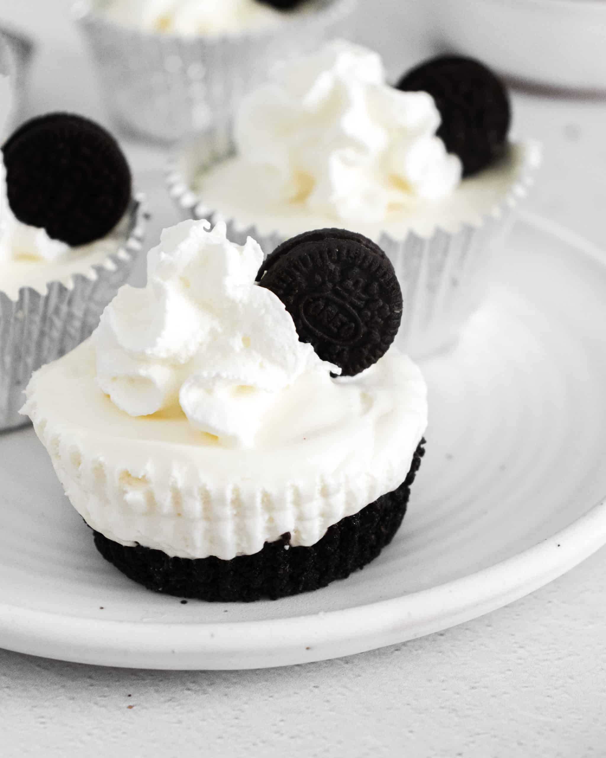 no bake mini oreo cheesecakes up close shot