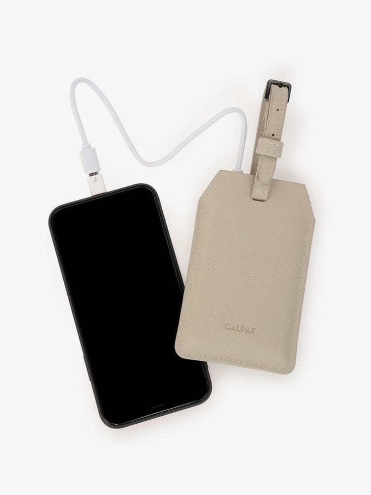 travel gifts calpak portable charger