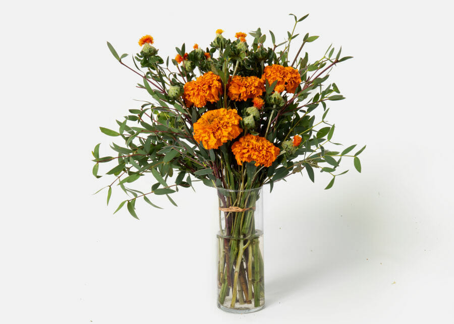 friendsgiving hostess gifts