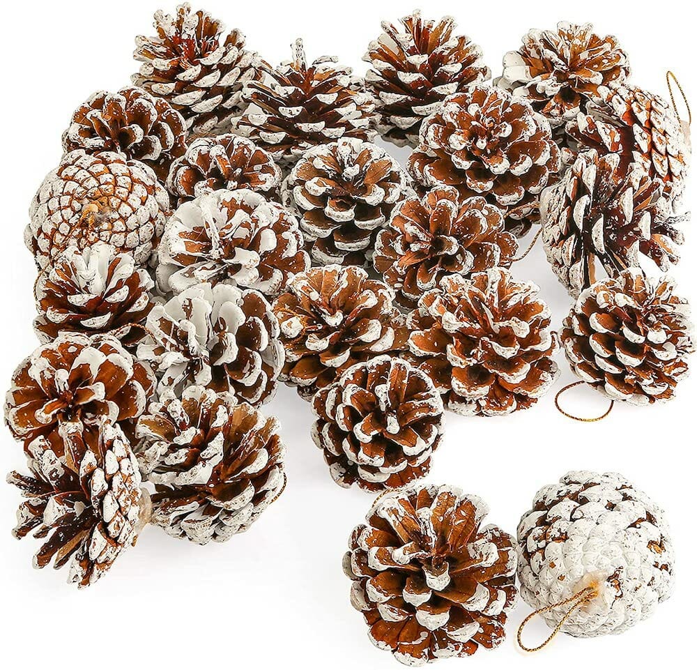 dorm christmas decor snow pine cones